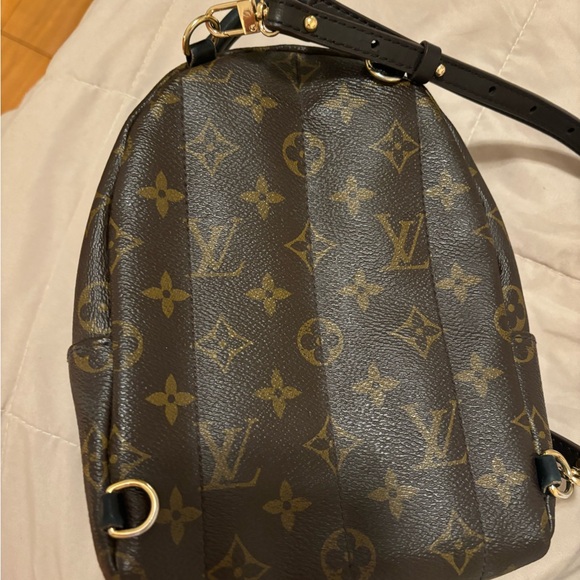 Louis Vuitton Palm Springs Mini - Picture 3 of 4